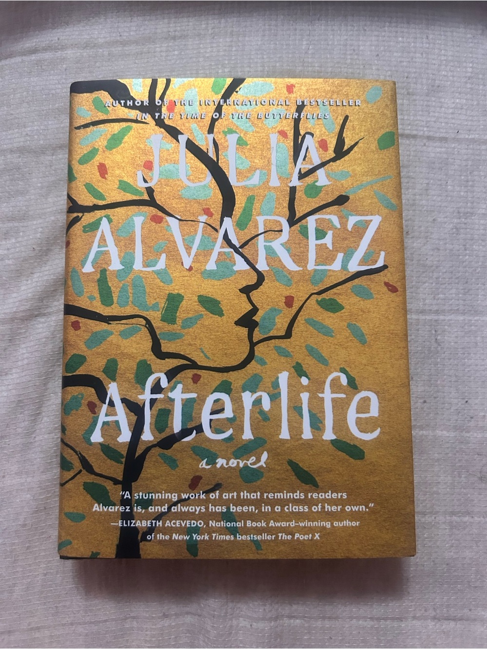 Afterlife - Gold Hardcover Novel